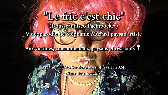 Rousseau disco 'Le fric c'est chic' vidéoparodie de Stéphanie Muzard 