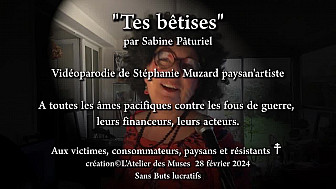 'Tes bêtises' par Sabine Pâturiel vidéoparodie Stéphanie Muzard