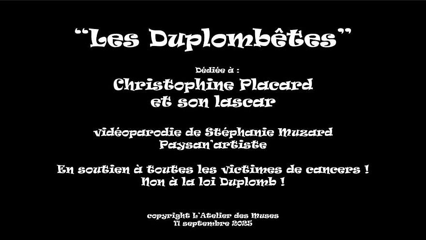 'Les Duplombêtes' vidéoparodie de Stéphanie Muzard